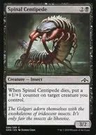 [C] : Spinal Centipede / Spine centipede