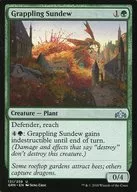 UC-Grappling Sundew / Tangled Sundew