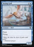 [C]:Vexing Gull/郁闷的海鸥