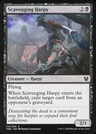 [C]:Scavenging Harpy/尸体蛤蜊的Harpy