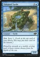 0376 [C] : [J25] Tidepool Turtle / Shiodama no Kame