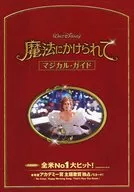 被施了魔法魔法指南