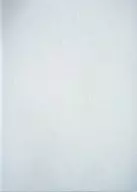 パンフ)The Checkers 1991 WINTER TOUR I HAVE A DREAM  WHITE PARTY