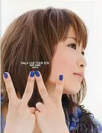 Brochure) May'n LIVE TOUR 2011 WE ARE side-A