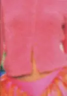 パンフ)UNZIPPED アンジップト