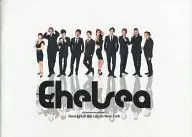 Como matar um gato em Nova York