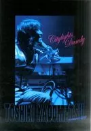 パンフ)TOSHIKI KADOMATSU Performance2010 Citylights Dandy