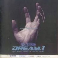 パンフ)DREAM1 LIGHT WEIGHT GRANDPRIX 2008 1st ROUND