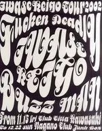 パンフ)Iwase Keigo tour 2002 Fucken Deadly Buzz Man