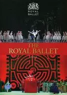 パンフ)THE ROYAL BALLET 2013