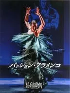 パンフ)パッション・フラメンコ