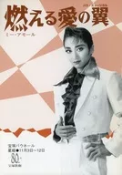 宝冢歌剧团星组宝冢Bahall燃烧爱之翼/Me Amor