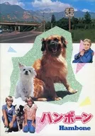 パンフ)ハンボーン