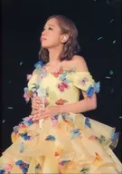Brochure) Kana Nishino Dome Tour 2017 Many Thanks