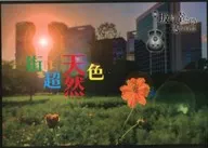 パンフ)坂崎幸之助書写真展 街は超天然色