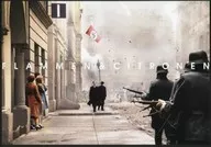 パンフ)誰がため (プレスシート) FLAM MEN ＆ CITRONEN