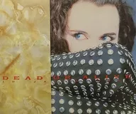 Brochure) DEAD OR ALIVE in Japan 1987