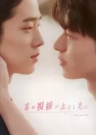 パンフ)君の視線が止まる先に