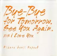 パンフ)光GENJI Bye-Bye for Tomorrow、See you Again、P/S I Love you