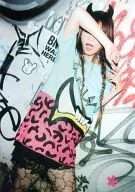 パンフ)SHOKO NAKAGAWA Live Tour 2011 天下統一！