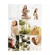 付録付)パンフ)Wakana Winter Special Live 2019 瞬き