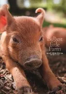 パンフ) The Biggest Little Farm ビッグ・リトル・ファーム 理想の暮らしのつくり方