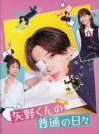 パンフ)矢野くんの普通の日々
