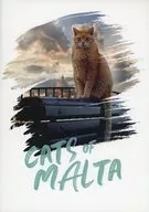 パンフ)ねこしま