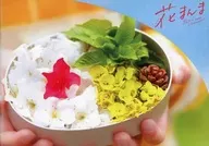 パンフ)花まんま