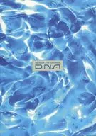 パンフ)Aぇ!group LIVE TOUR 2025 D.N.A