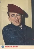 パンフ)ジャイアンツ(巨人)(外国映画出版社版)