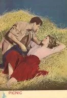 パンフ)ピクニック PICNIC(外国映画社版)