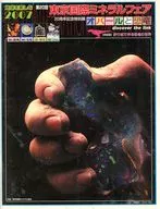 パンフ)第20回 東京国際ミネラルフェア 20周年記念特別展 オパールと恐竜