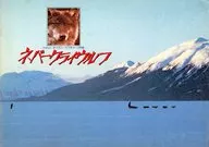 パンフ)ネバー・クライ・ウルフ