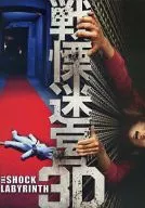 3D THE SHOCK LABYRINTH