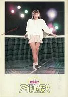 パンフ）アイドルを探せ(1987)