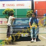 パンフ)LICENSE vol.ZEPP ENJOY!!～grow up 2009～