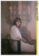 販促冊子)adieu special ZINE